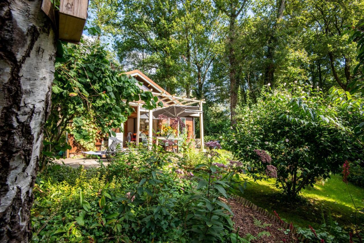 Cozy Tiny House 'circumbendihouse' At The Veluwe And Close To Veluwemeer Chalet